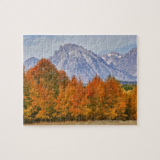 Aspen trees with the Teton mountain range Jigsaw Puzzle (Horizontal)