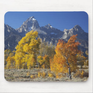 Aspen trees with the Teton mountain range Mouse Mat