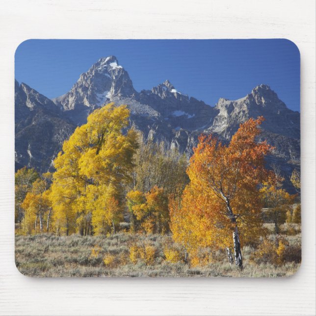 Aspen trees with the Teton mountain range Mouse Mat (Front)