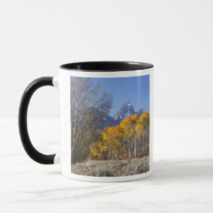 Aspen trees with the Teton mountain range Mug