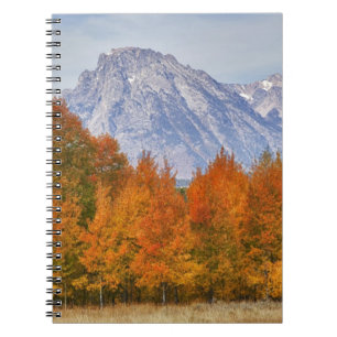 Aspen trees with the Teton mountain range Notebook