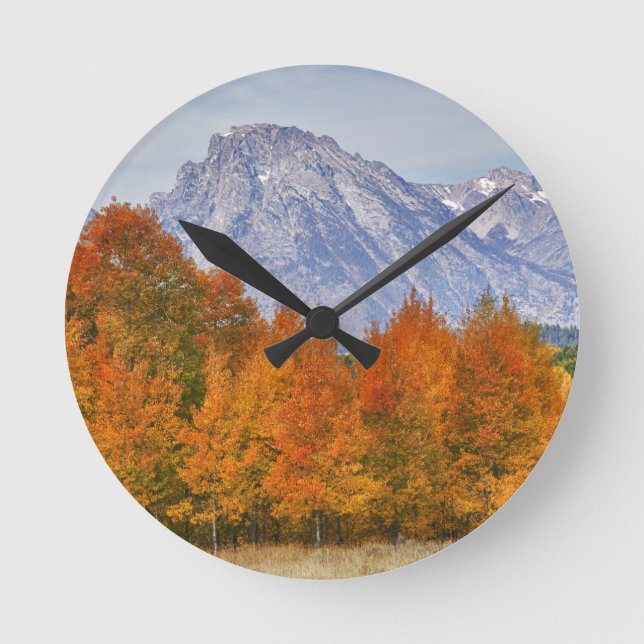 Aspen trees with the Teton mountain range Round Clock (Front)