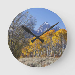 Aspen trees with the Teton mountain range Round Clock
