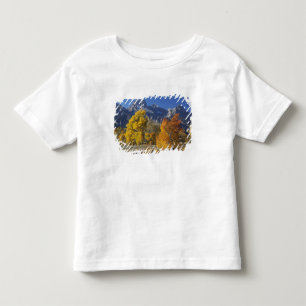 Aspen trees with the Teton mountain range Toddler T-Shirt
