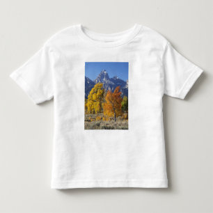Aspen trees with the Teton mountain range Toddler T-Shirt