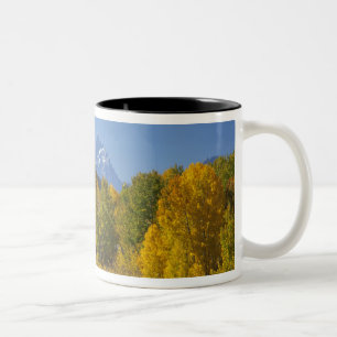 Aspen trees with the Teton mountain range Two-Tone Coffee Mug