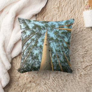 Aspen Trunks And Leaves, Yukon Cushion