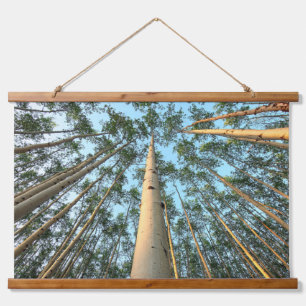 Aspen Trunks And Leaves, Yukon Hanging Tapestry