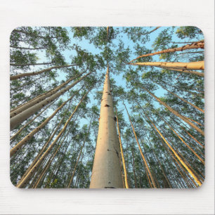Aspen Trunks And Leaves, Yukon Mouse Mat