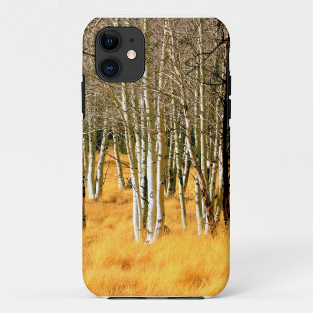 aspen woods case (Back)