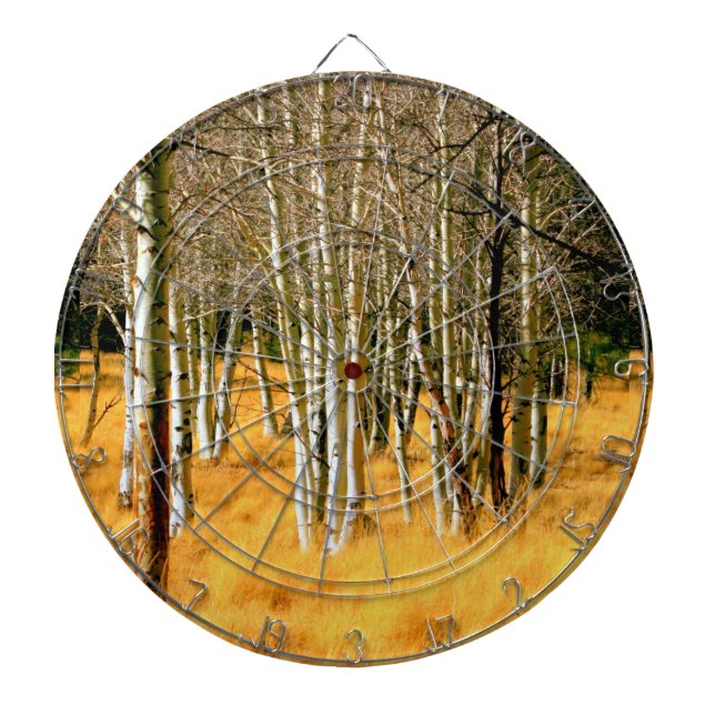aspen woods dart board (Front)