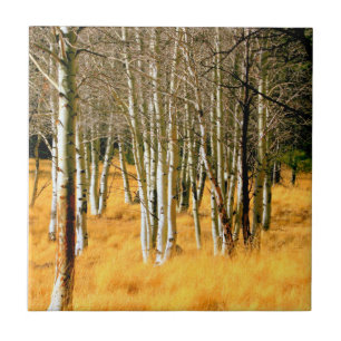 aspen woods tile