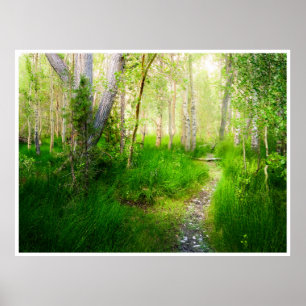 Aspens and Lush Grasses at Convict Lake Poster