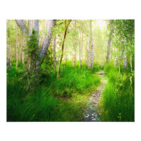 Aspens and Lush Grasses at Convict Lake Wall Art