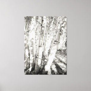Aspens black and white canvas print