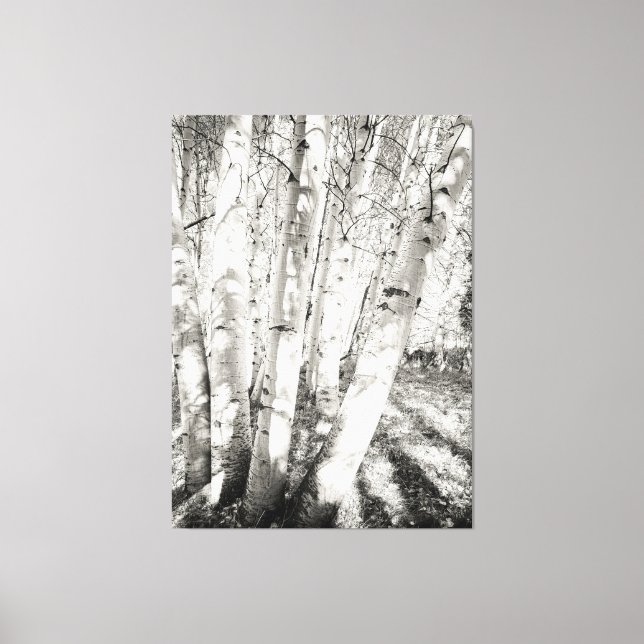 Aspens black and white canvas print (Front)