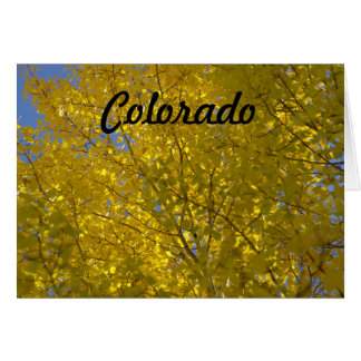 Aspens Card