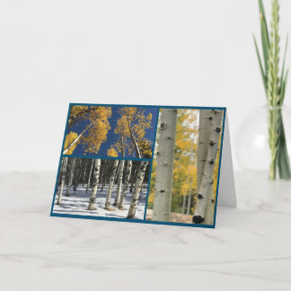 Aspens Card
