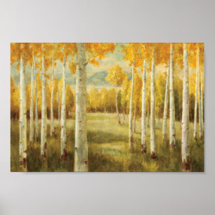 Aspens in Autumn Poster