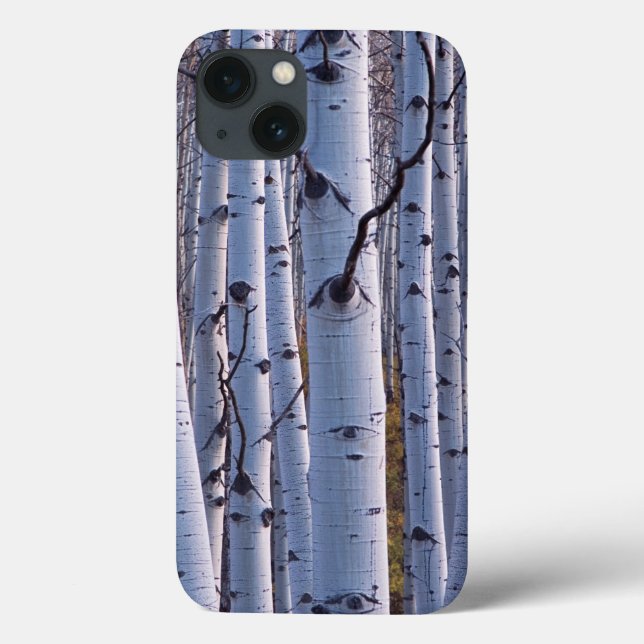 Aspens In Gunnison National Park Case-Mate iPhone Case (Back)