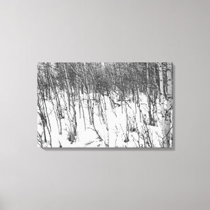 Aspens in Snow Canvas art print
