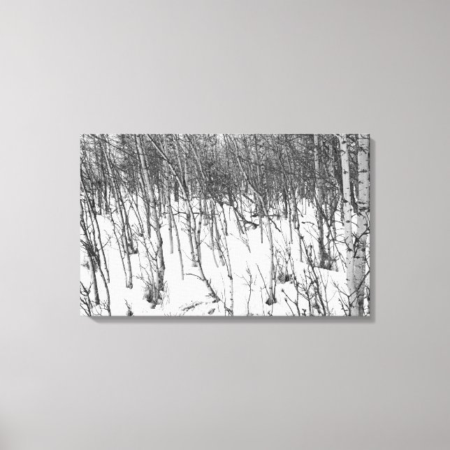 Aspens in Snow Canvas art print (Front)