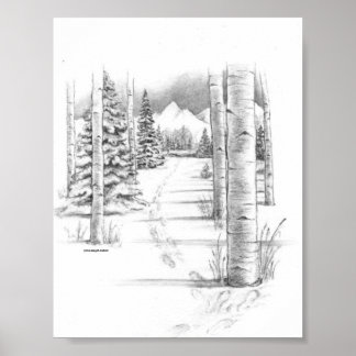 Aspens in Winter Poster
