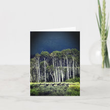 Aspens Note Card