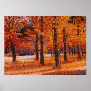 Aspens of Colorado in Beautiful Autumn Splendour Poster