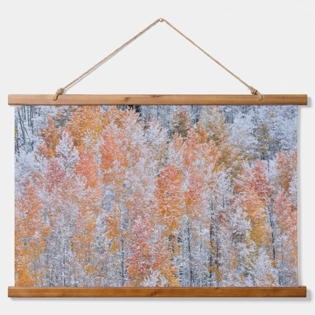Aspens & Snow | Rocky Mountains, Colorado Hanging Tapestry (Front)