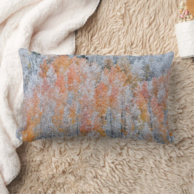 Aspens & Snow | Rocky Mountains, Colorado Lumbar Cushion (Blanket)