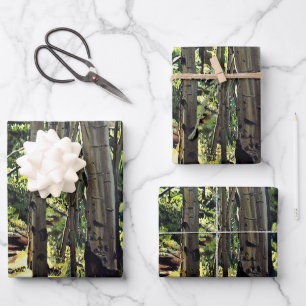 Aspens Tree Woodland  Wrapping Paper Sheet