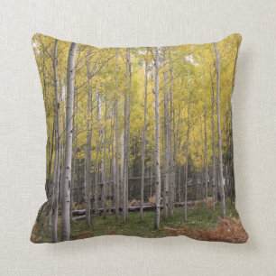 Aspen's yellow glow cushion