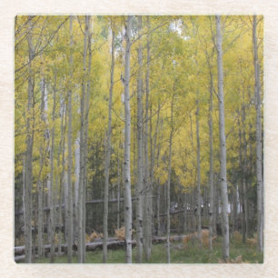Aspen's yellow glow glass coaster