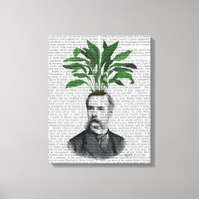 Aspidistra Head Plant Head Canvas Print (Front)