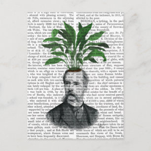 Aspidistra Head Plant Head Postcard