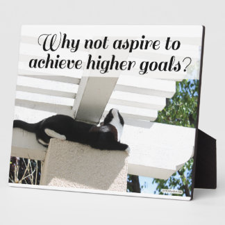 Aspire to Higher Goals Motivational Cat Plaque