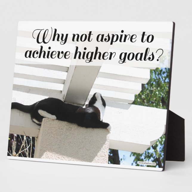 Aspire to Higher Goals Motivational Cat  Plaque (Side)