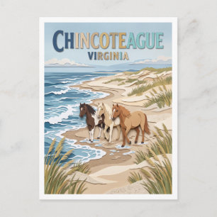 Assateague Beach Chincoteague Virginia Postcard
