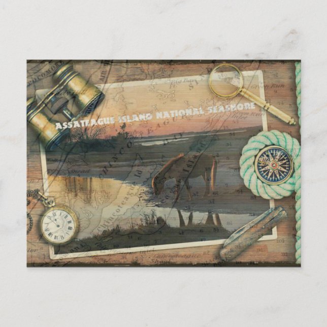 Assateague/Chincoteague Postcard (Front)