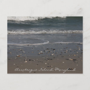 Assateague Island Beach Postcard