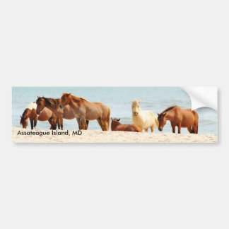 Assateague island Bumper Sticker