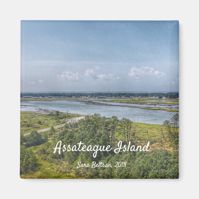 Assateague Island Magnet (Front)