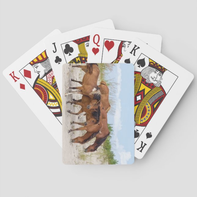Assateague Island, Maryland Playing Cards (Back)