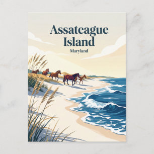 Assateague Island Maryland Postcard
