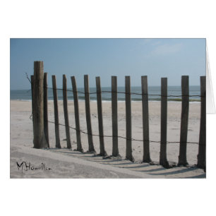 Assateague Island National Seashore