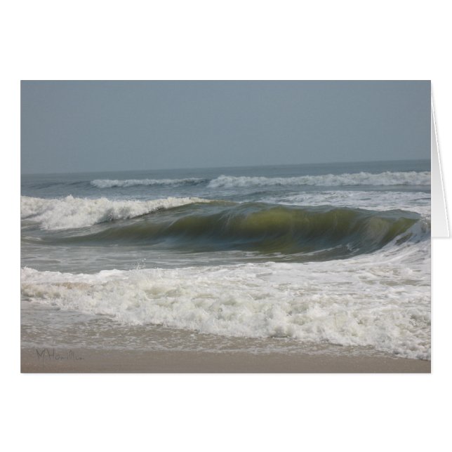 Assateague Island National Seashore (Front Horizontal)