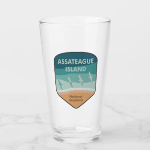 Assateague Island National Seashore Seagulls Glass