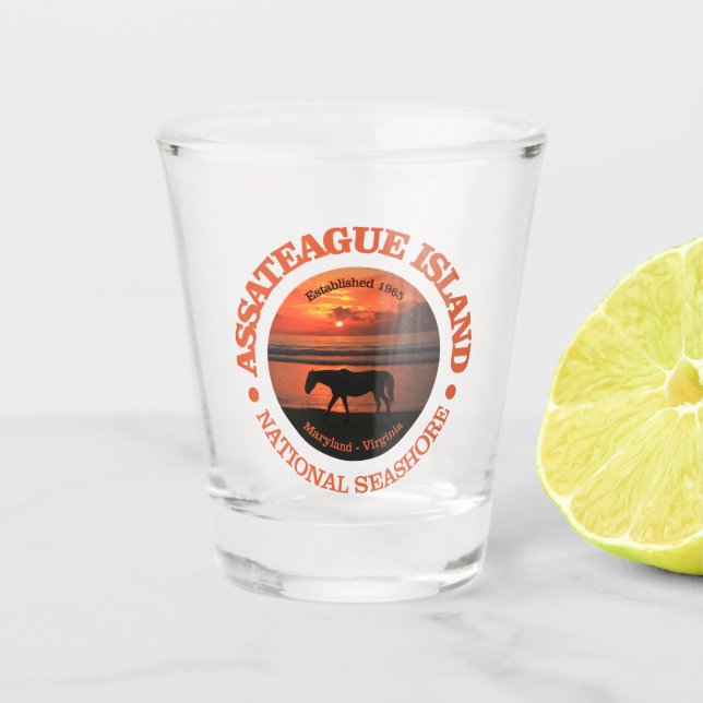 Assateague Island National Seashore Shot Glass (Front)