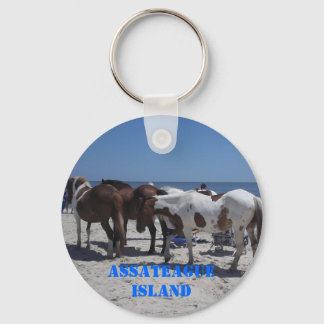 Assateague Island Ponies Key Ring
